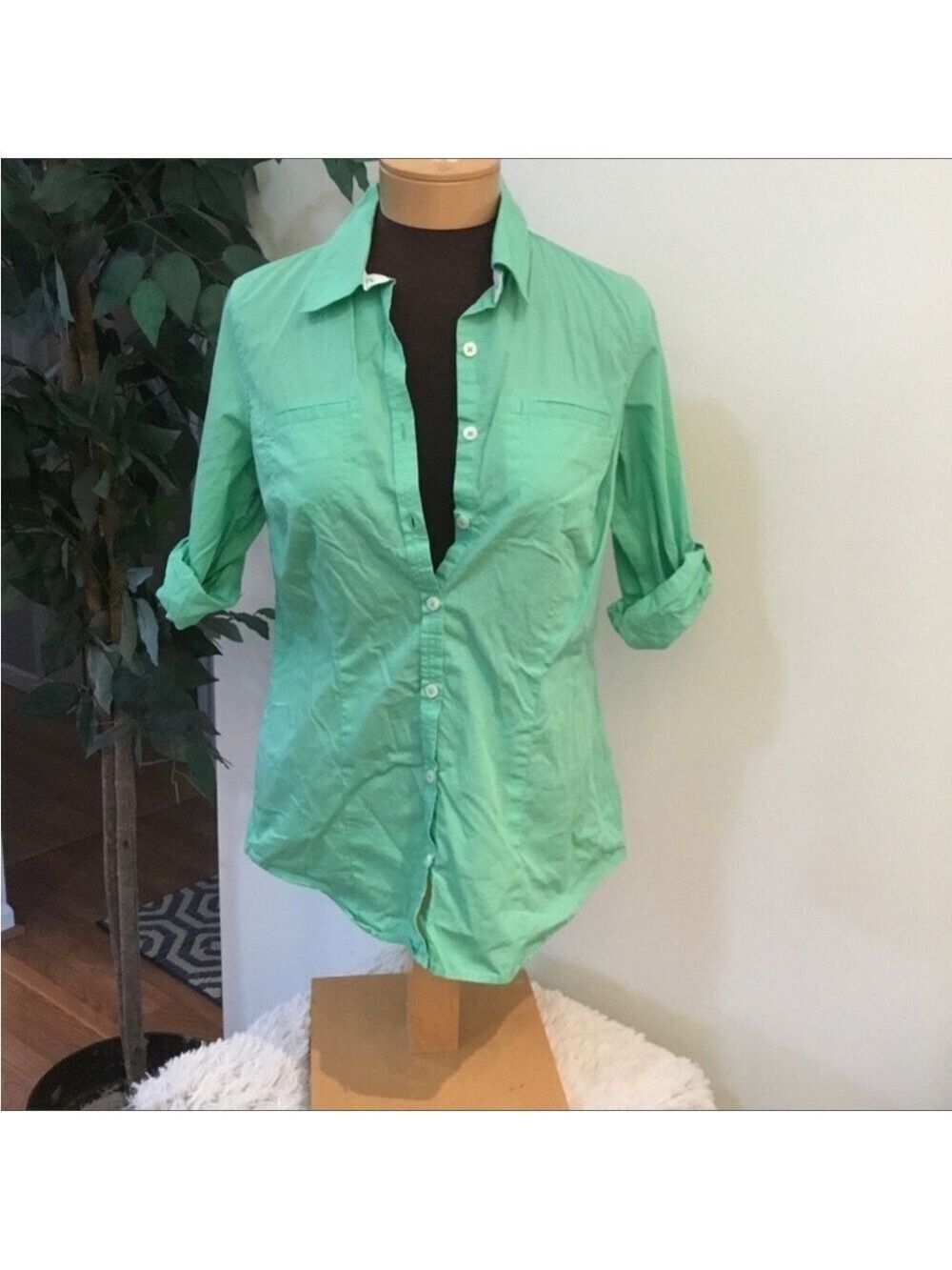 Van Heusen button down long sleeve top Womans medium spring green color